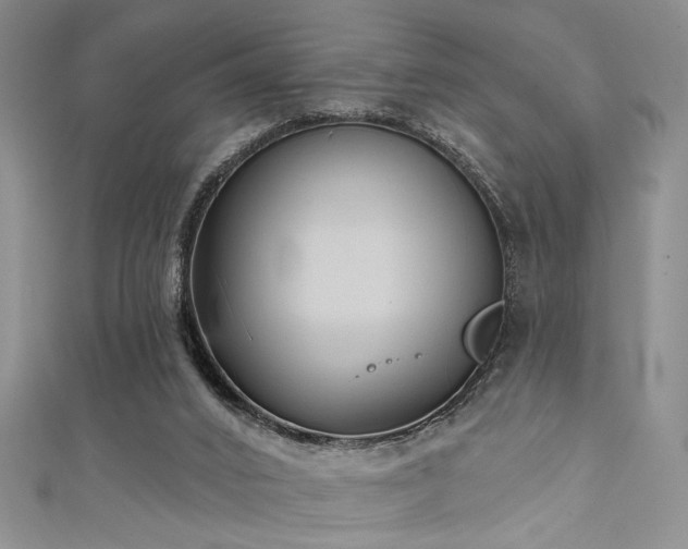 X0000111480016200907141227