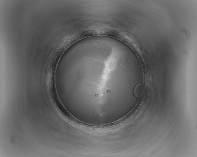 X0000111480018200907141227