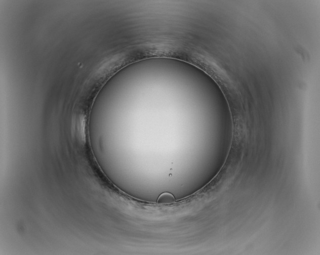 X0000111480022200907141227