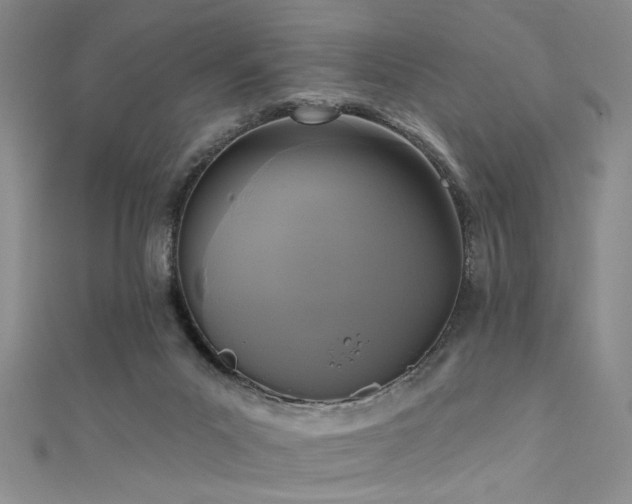 X0000111480023200907141227