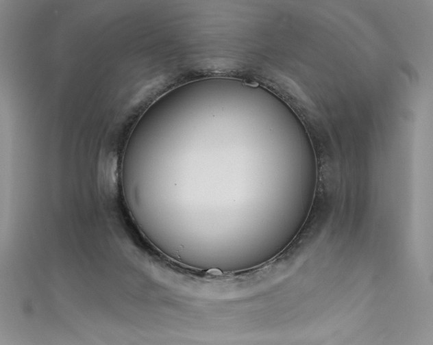 X0000111480024200907141227