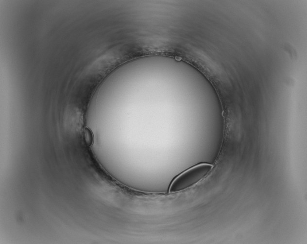 X0000111480025200907141227