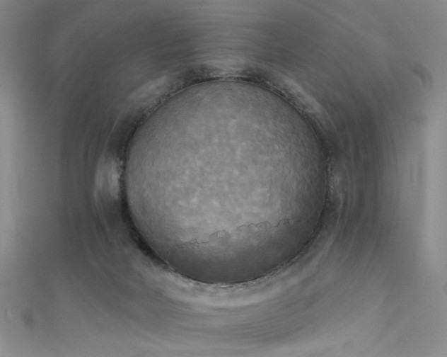 X0000111480026200907141227