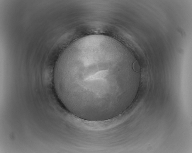X0000111480030200907141227