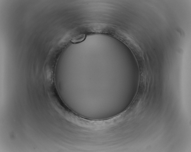 X0000111480031200907141227