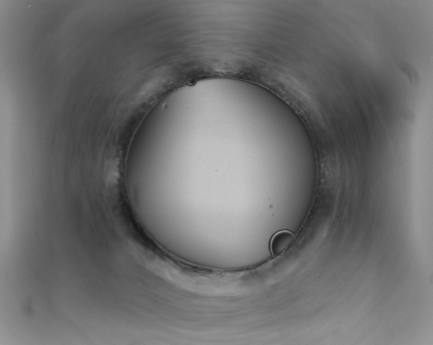 X0000111480032200907141227