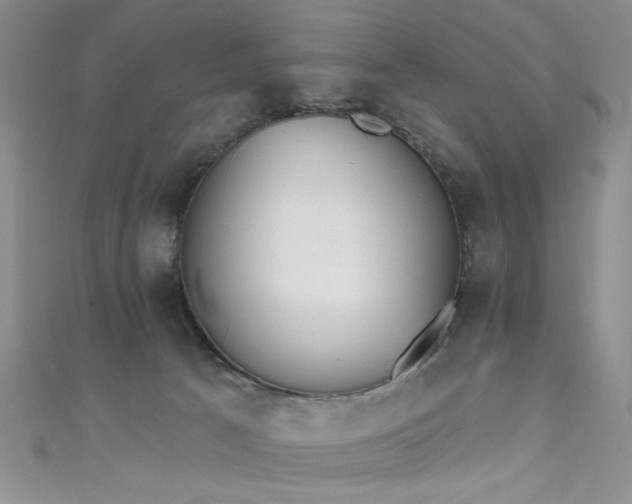X0000111480033200907141227