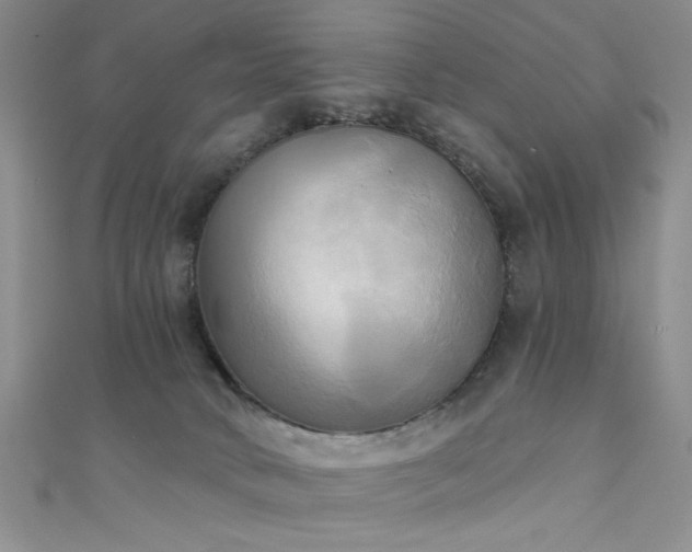 X0000111480034200907141227