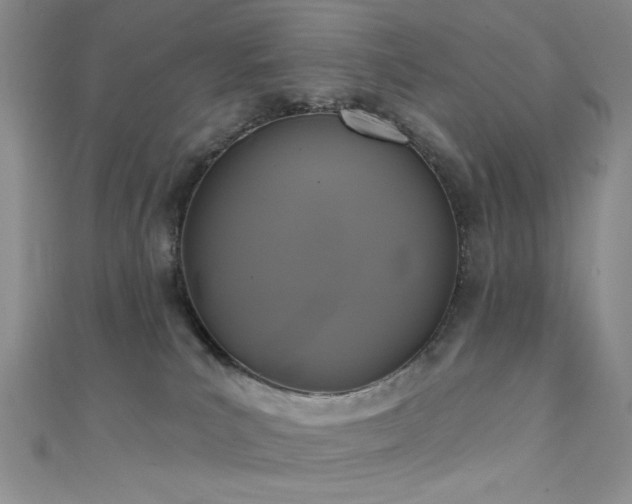 X0000111480039200907141227