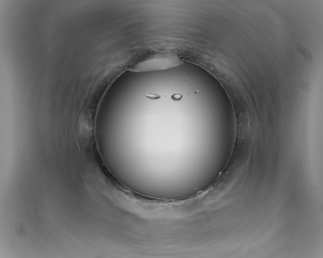 X0000111480040200907141227