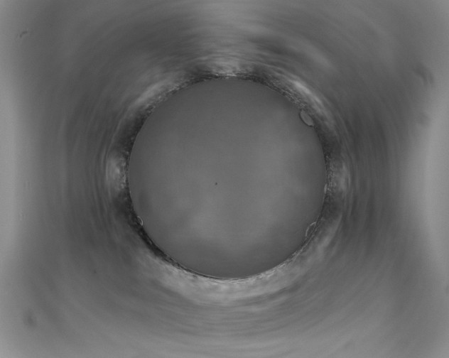 X0000111480043200907141227