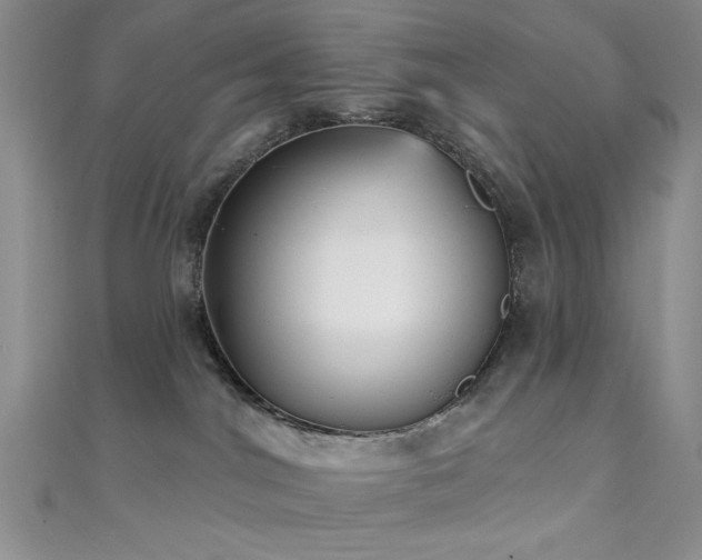 X0000111480044200907141227