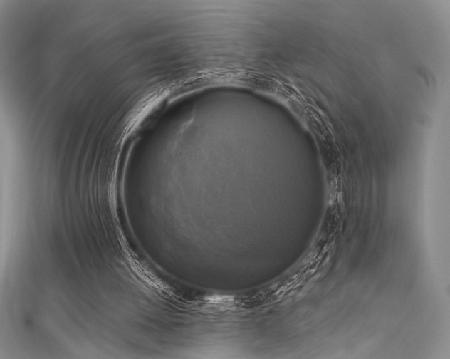 X0000111480052200907141226
