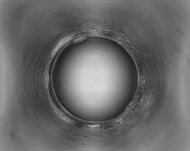 X0000111480054200907141226