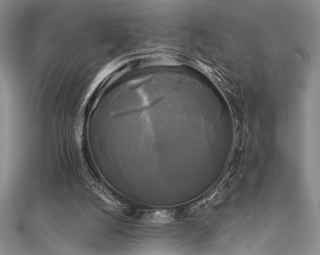 X0000111480056200907141226
