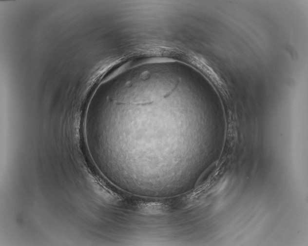 X0000111480058200907141226