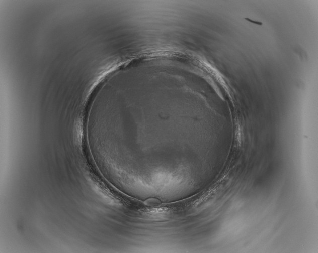 X0000111480059200907141226