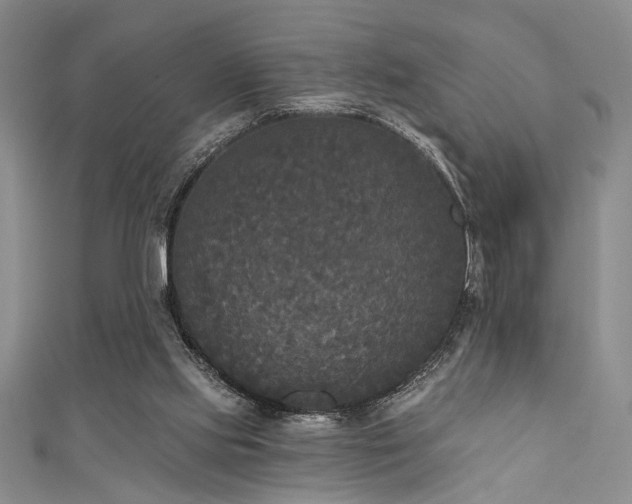 X0000111480061200907141226