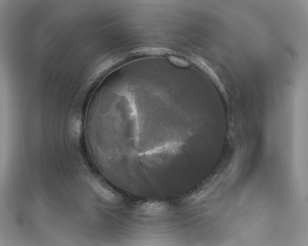 X0000111480063200907141226