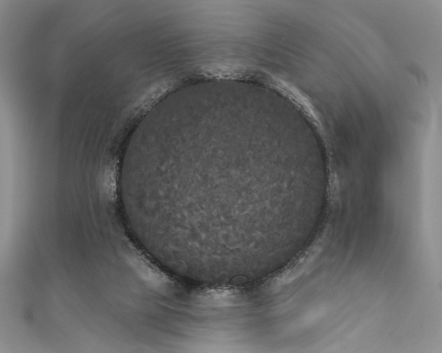 X0000111480065200907141226