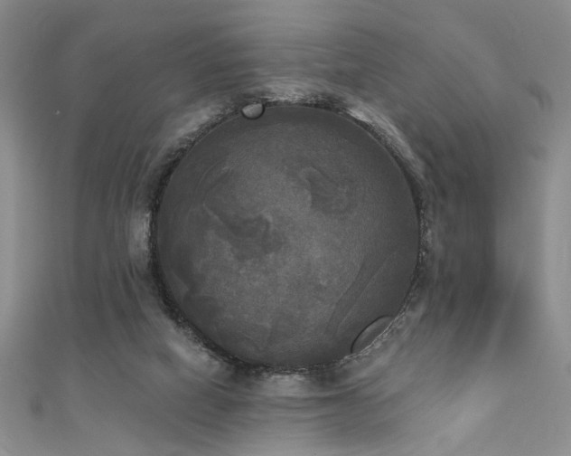 X0000111480066200907141226