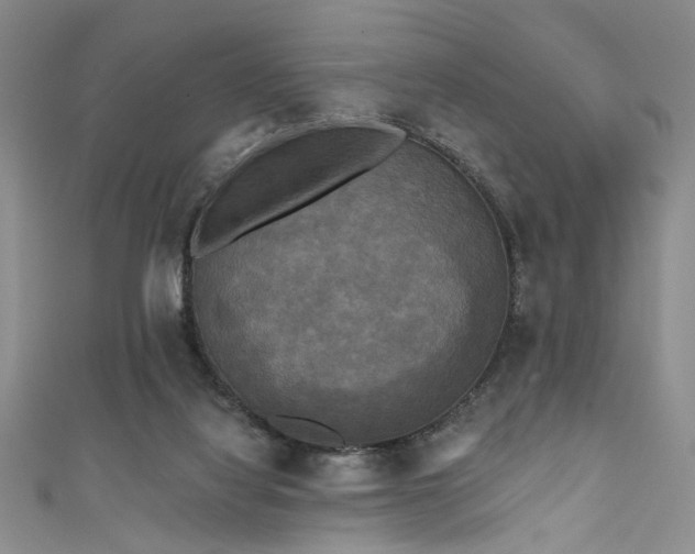 X0000111480068200907141226