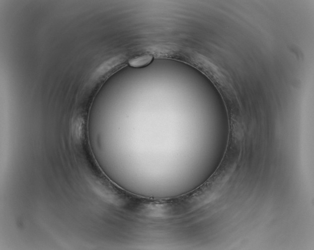 X0000111480071200907141226