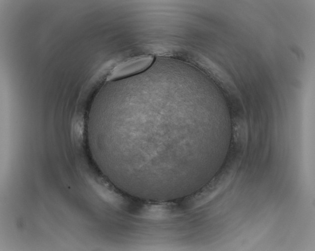 X0000111480072200907141226