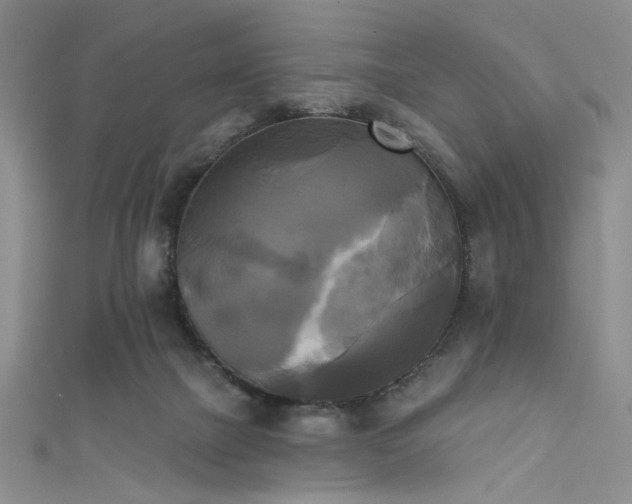 X0000111480073200907141226