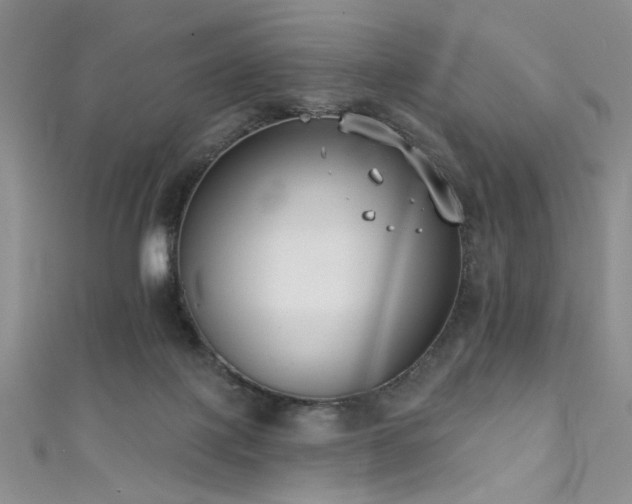 X0000111480075200907141226