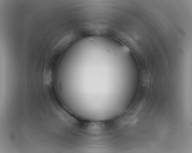 X0000111480077200907141226