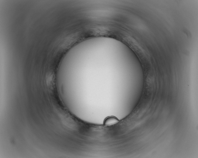 X0000111480079200907141226