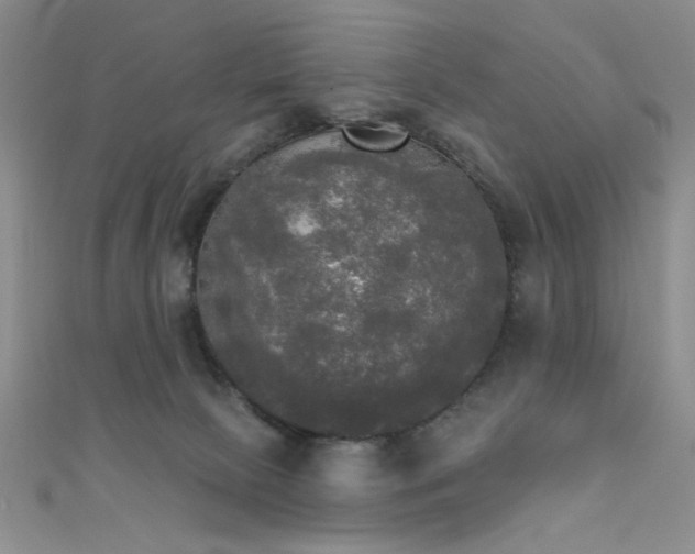 X0000111480081200907141226