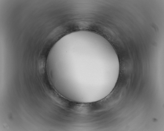 X0000111480082200907141226