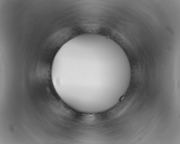 X0000111480083200907141226