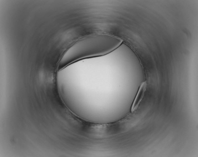 X0000111480084200907141226