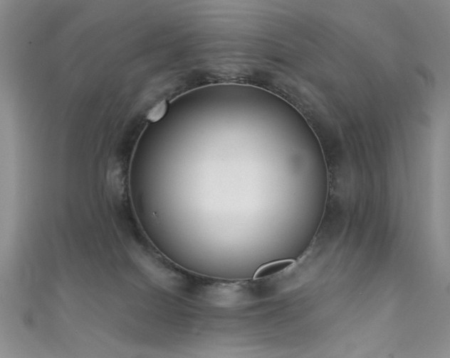 X0000111480086200907141226