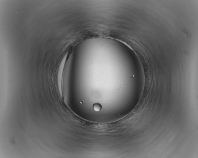 X0000111480088200907141226