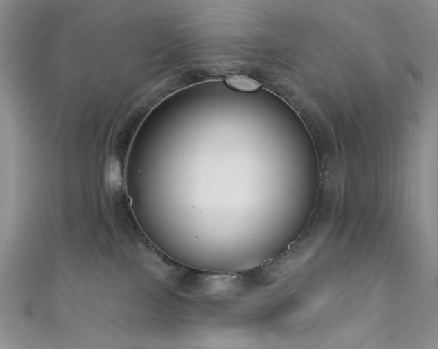X0000111480089200907141226