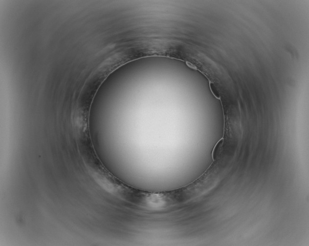 X0000111480091200907141226