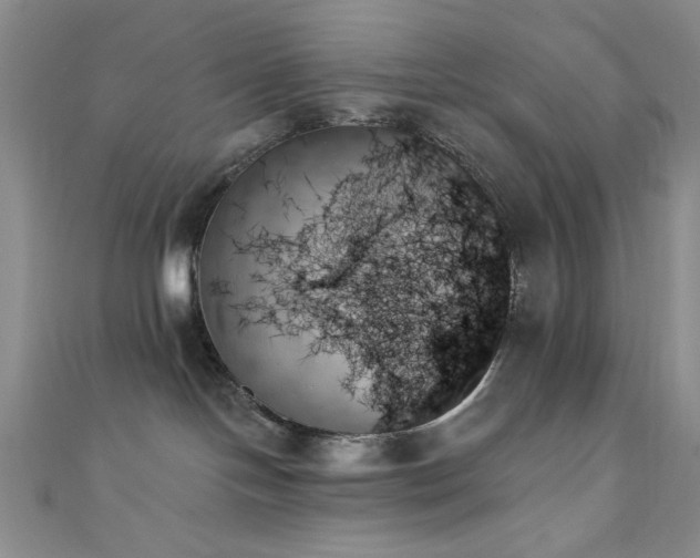 X0000111480094200907141227