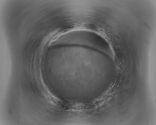 X0000111480097200907141226