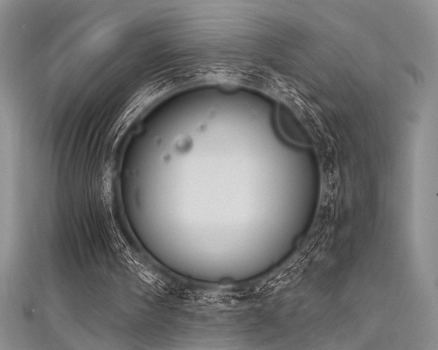X0000111480098200907141226