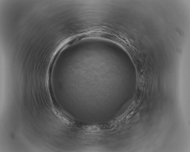 X0000111480100200907141226