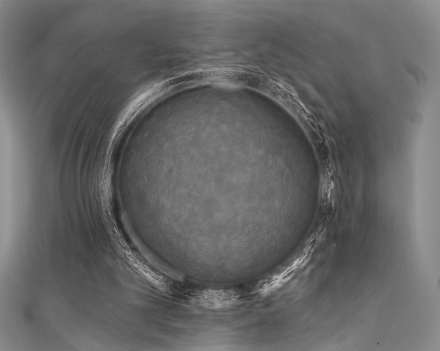 X0000111480101200907141226