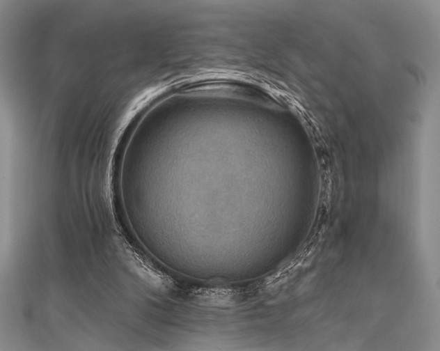 X0000111480104200907141226