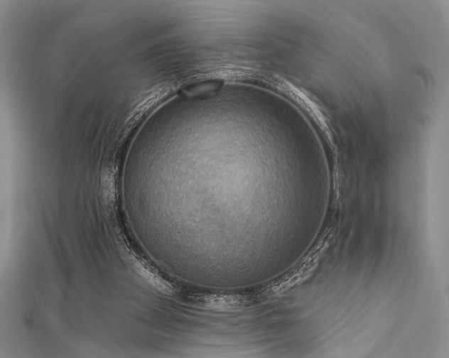 X0000111480105200907141226