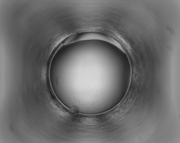 X0000111480107200907141226