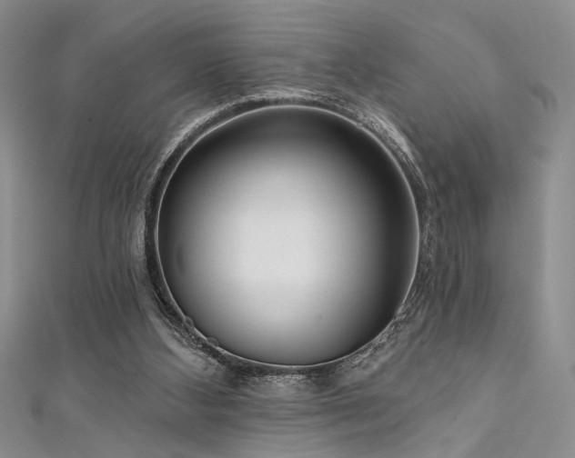 X0000111480108200907141226