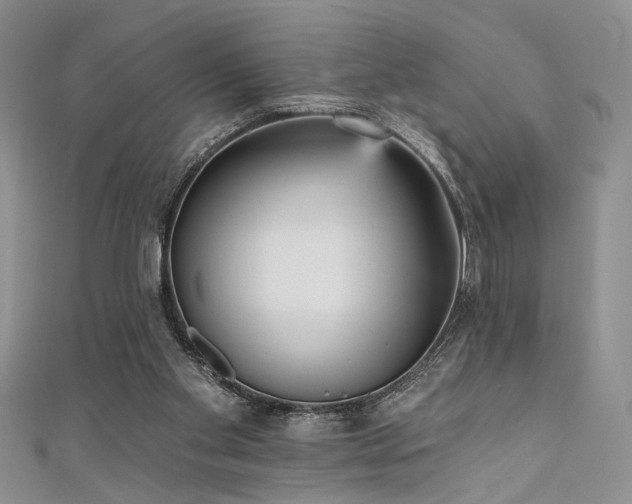 X0000111480109200907141226